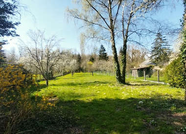 Terrain 2278 m²